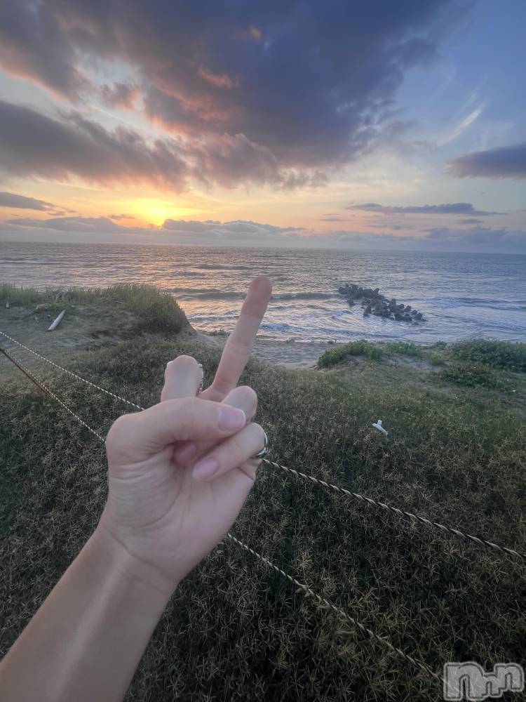 ��Į�ۥ��ȡ��ܡ������С�A151(�����������ݥ���) �֡�ͺ ˱����8��7���̥�֥����ֽжнжнжнжнжнжнжнжС�