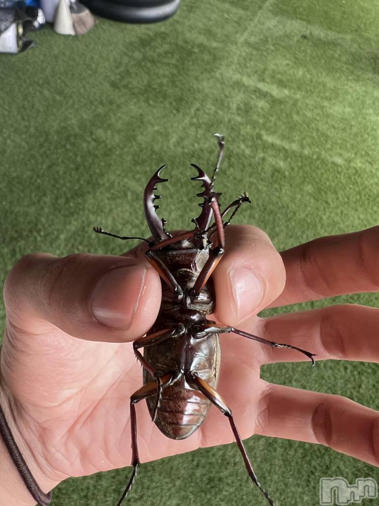 ��Į�ۥ��ȡ��ܡ������С�A151(�����������ݥ���) �֡�ͺ ˱����9��5���̥�֥����֥��塞�����Ĥ������