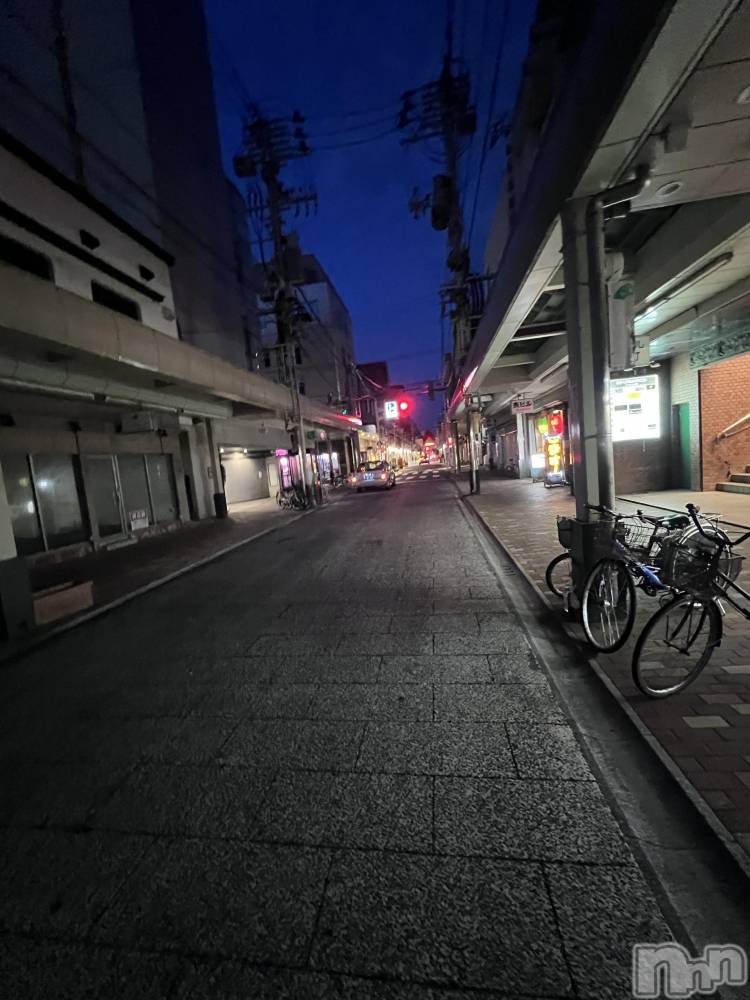 ��Į�ۥ��ȡ��ܡ������С�A151(�����������ݥ���) �֡�ͺ ˱����9��6���̥�֥�����ī���θ�Į�Τ��δ�����������