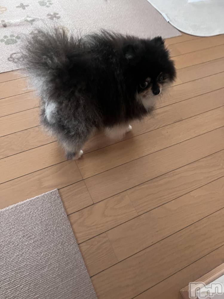 ��Į�ۥ��ȡ��ܡ������С�A151(�����������ݥ���) �֡�ͺ ˱����11��28���̥�֥����ֽжнжнжнжнжнжнжС�