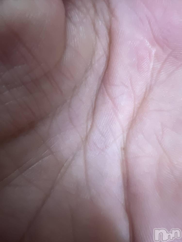 ��Į�ۥ��ȡ��ܡ������С�A151(�����������ݥ���) �֡�ͺ ˱����12��18���̥�֥����ֽжм���жС�