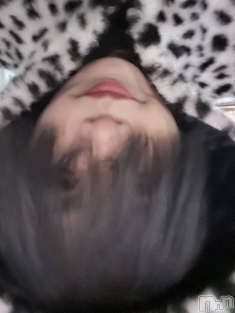 ��Į�ۥ��ȡ��ܡ������С�A151(�����������ݥ���) �֡�ͺ ˱����12��19���̥�֥����ֽжнжнжС�