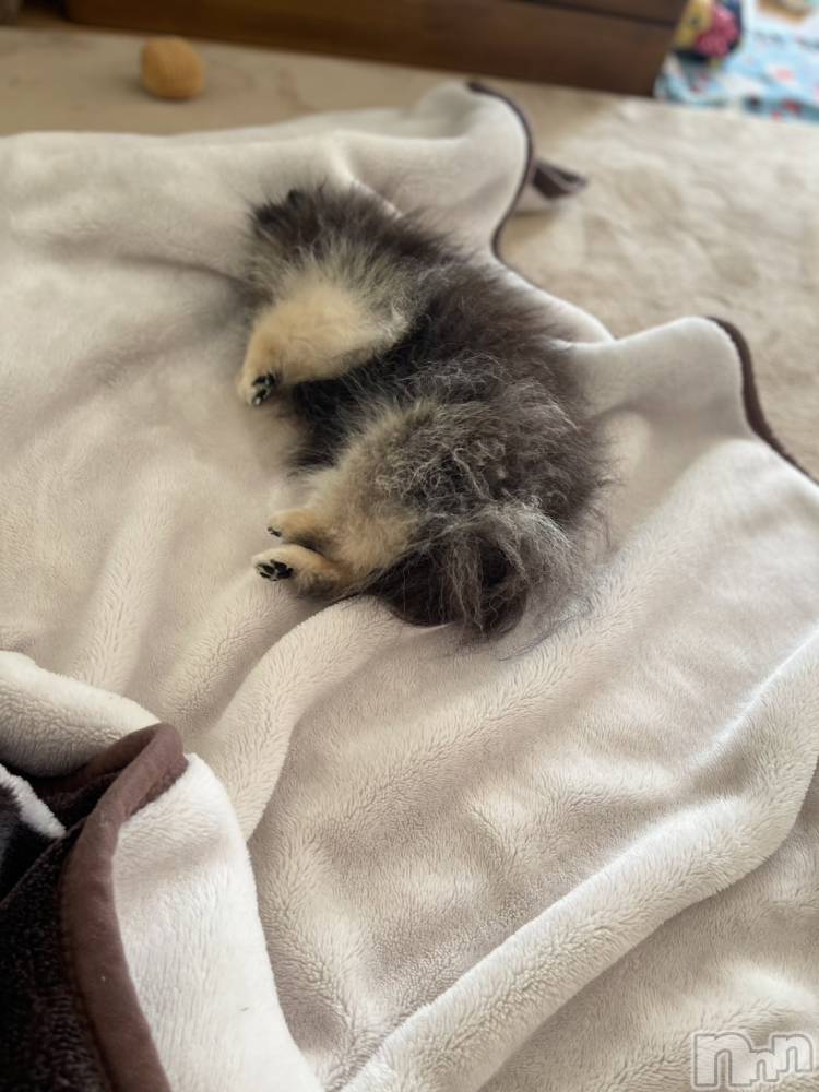 ��Į�ۥ��ȡ��ܡ������С�A151(�����������ݥ���) �֡�ͺ ˱����1��26���̥�֥����ֽжнжнжС�