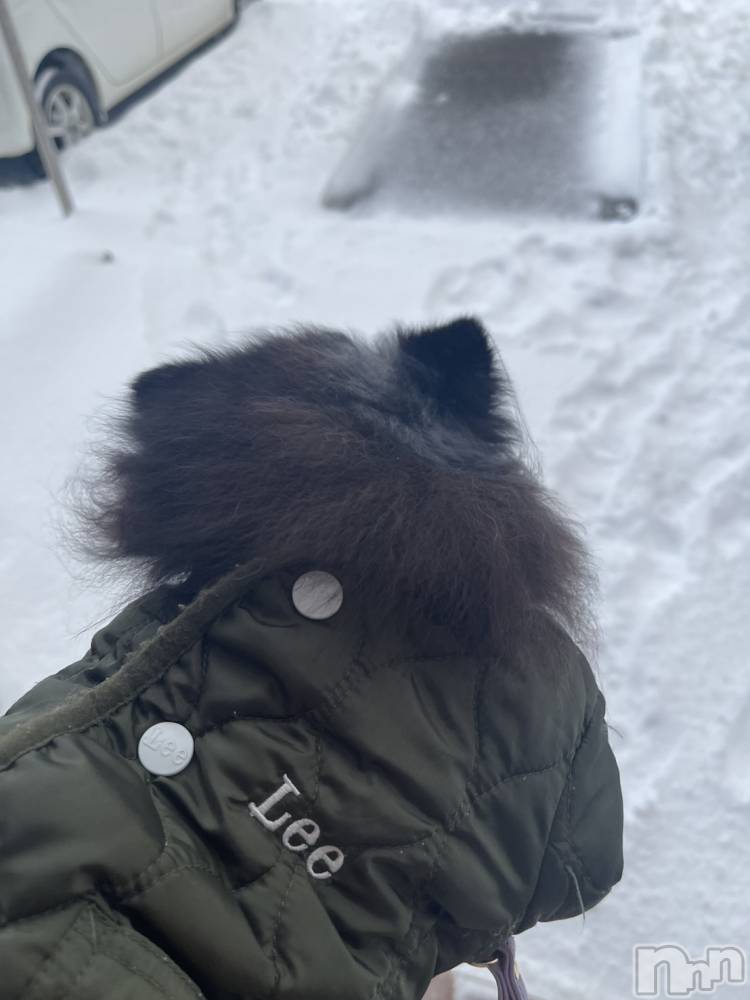 ��Į�ۥ��ȡ��ܡ������С�A151(�����������ݥ���) �֡�ͺ ˱����1��27���̥�֥����ֽжнжнжнжнжС�