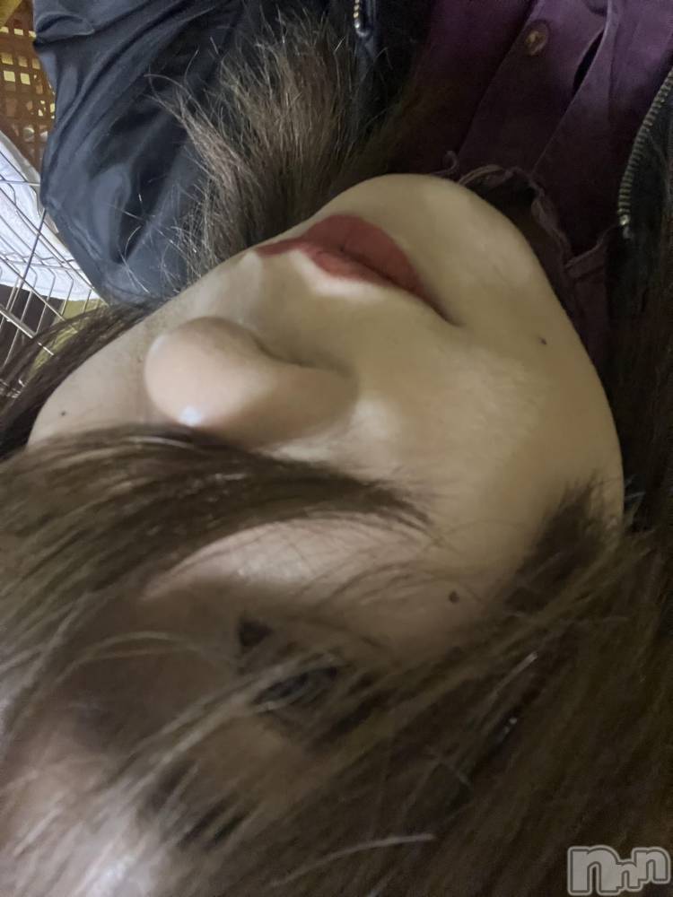 ��Į�ۥ��ȡ��ܡ������С�A151(�����������ݥ���) �֡�ͺ ˱����2��8���̥�֥����ֽжС�