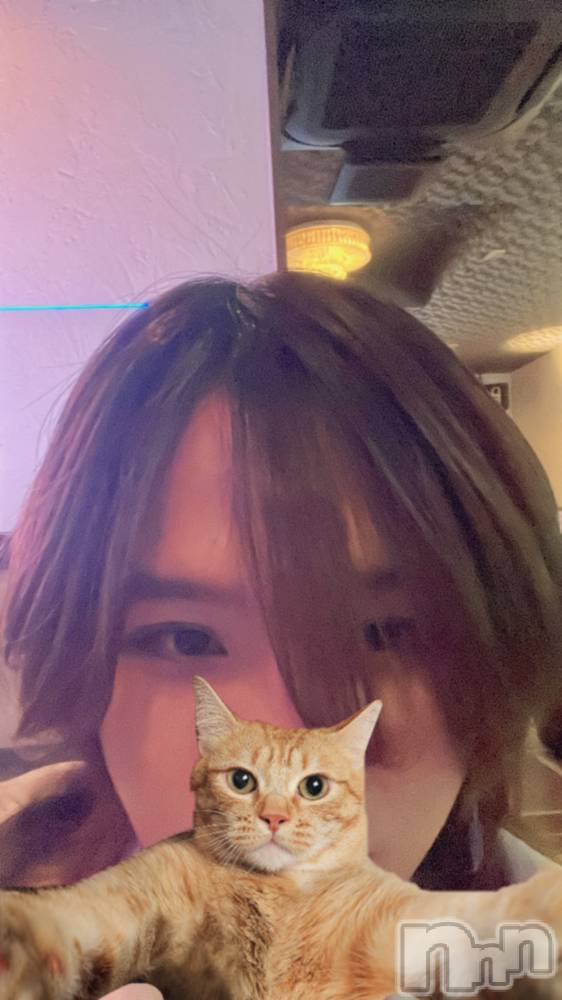 ��Į�ۥ��ȡ��ܡ������С�A151(�����������ݥ���) �֡�ͺ ˱����3��17���̥�֥����ֽжС�