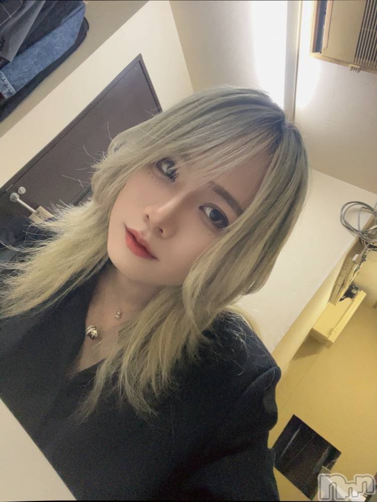 ��Į�ۥ��ȡ��ܡ������С�A151(�����������ݥ���) �֡�ͺ ˱����7��2���̥�֥����ֽжС�