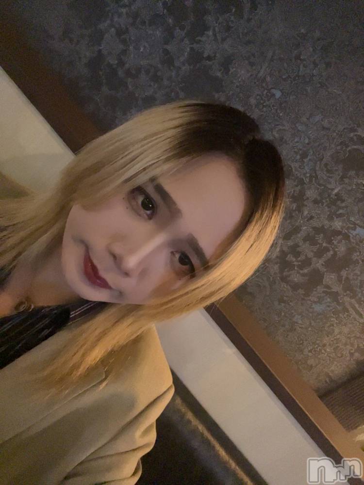 ��Į�ۥ��ȡ��ܡ������С�A151(�����������ݥ���) �֡�ͺ ˱����10��31���̥�֥����֥��٥�ȡ���������