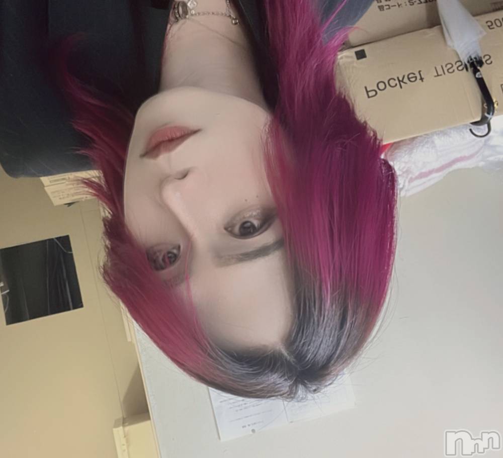 ��Į�ۥ��ȡ��ܡ������С�A151(�����������ݥ���) �֡�ͺ ˱����12��3���̥�֥����ֽнꤷ�ޤ���