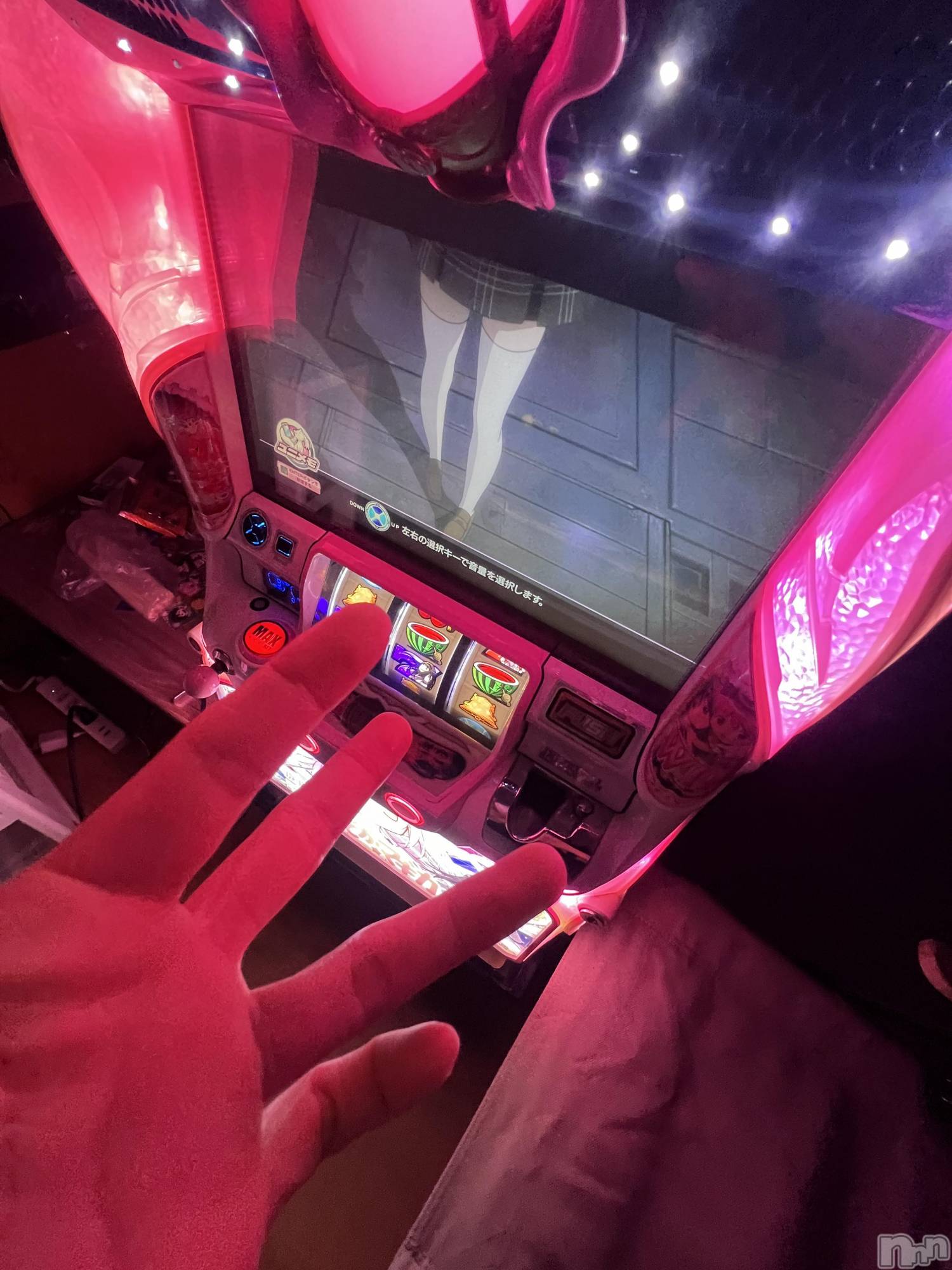 ��Į�ۥ��ȡ��ܡ������С�A151(�����������ݥ���) ��2024ǯ6��12���̥�֥����ֽжФǤ���