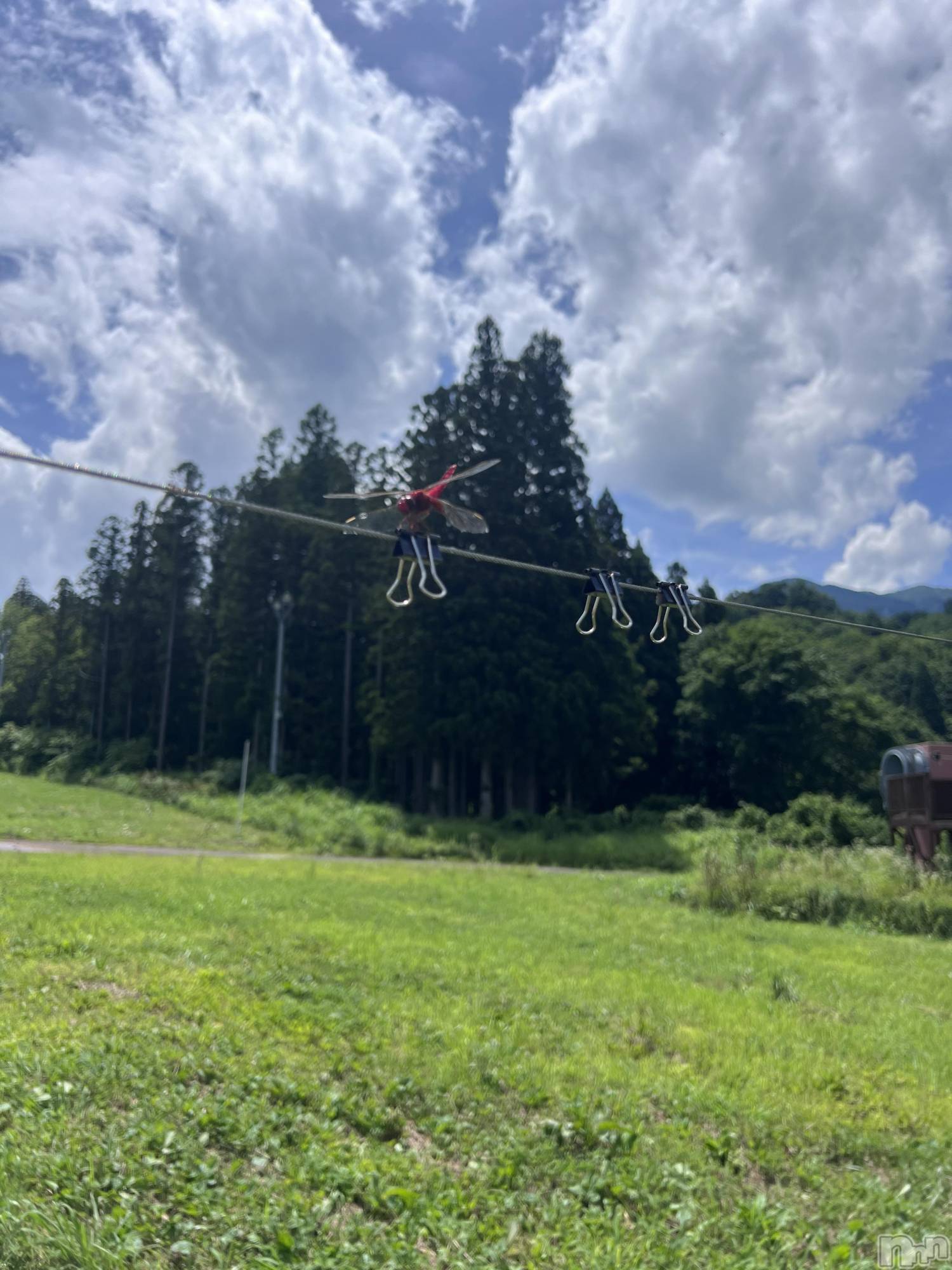 ��Į�ۥ��ȡ��ܡ������С�A151(�����������ݥ���) ��2024ǯ7��21���̥�֥�����⚠︎︎�뤤��