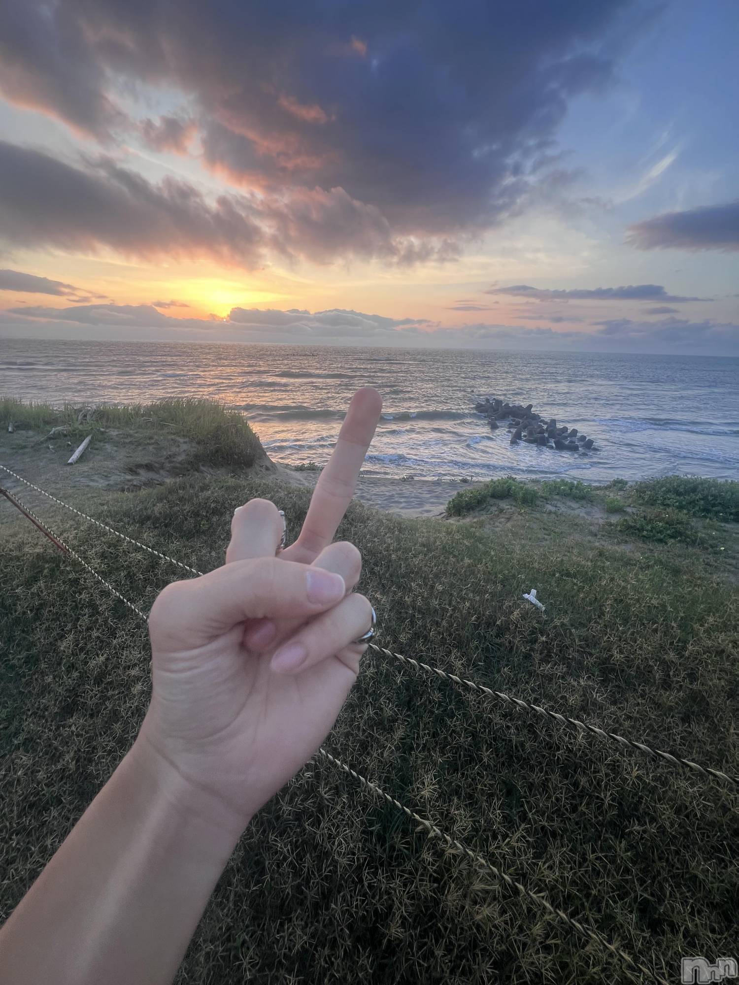 ��Į�ۥ��ȡ��ܡ������С�A151(�����������ݥ���) ��2024ǯ8��7���̥�֥����ֽжнжнжнжнжнжнжнжС�