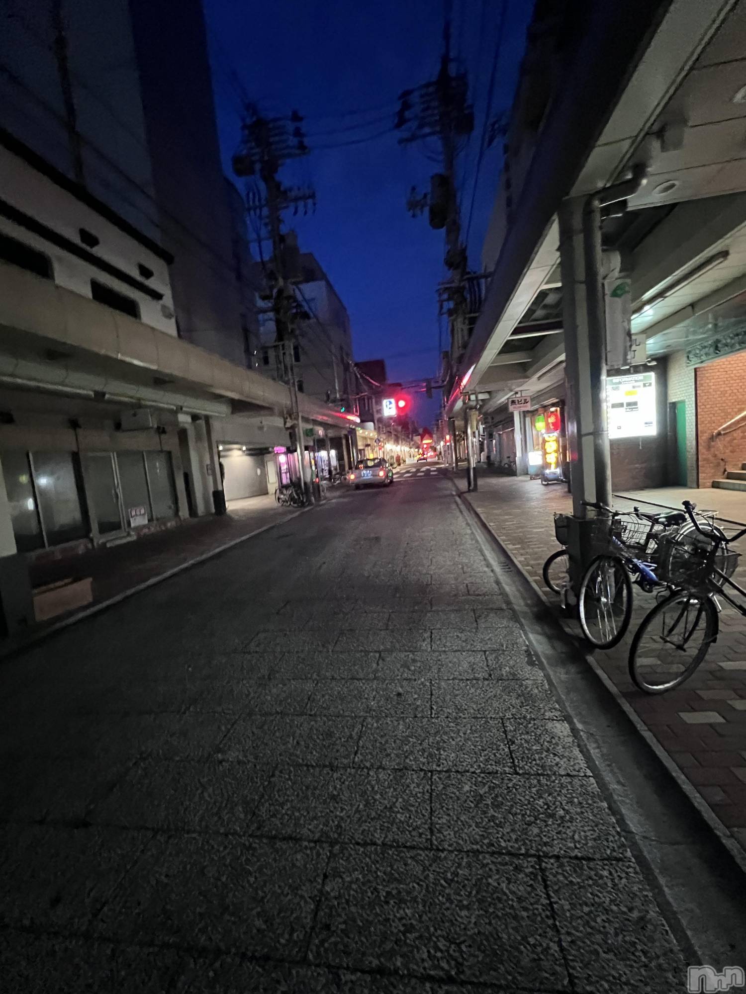 ��Į�ۥ��ȡ��ܡ������С�A151(�����������ݥ���) ��2024ǯ9��6���̥�֥�����ī���θ�Į�Τ��δ�����������