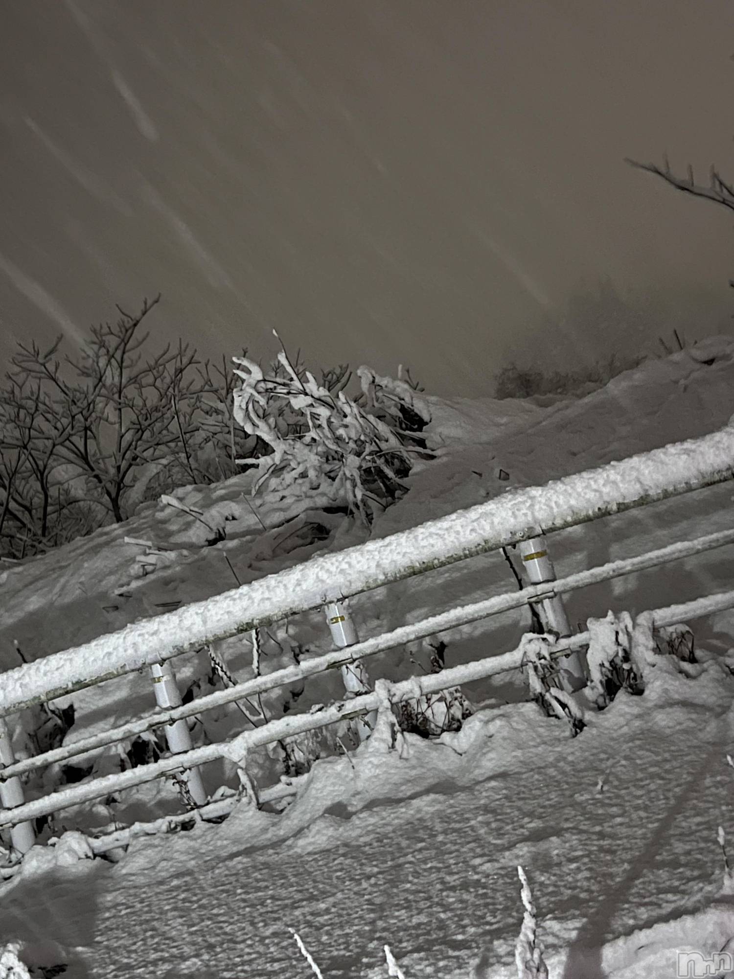 ��Į�ۥ��ȡ��ܡ������С�A151(�����������ݥ���) ��2024ǯ12��9���̥�֥����ֽжнжнжС�