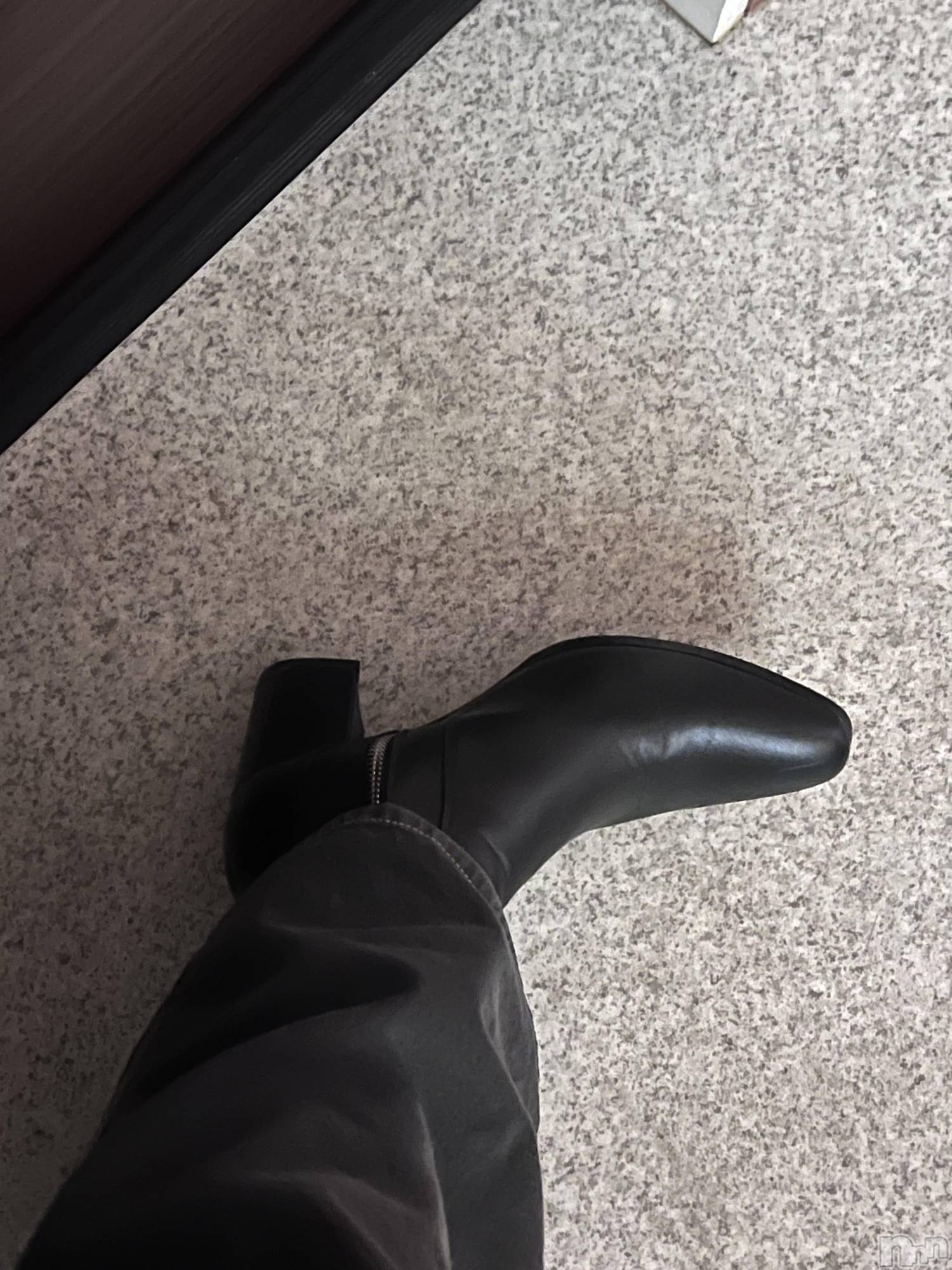 ��Į�ۥ��ȡ��ܡ������С�A151(�����������ݥ���) ��2024ǯ12��13���̥�֥����ֽжнжнжнжнжнжнжнжС�