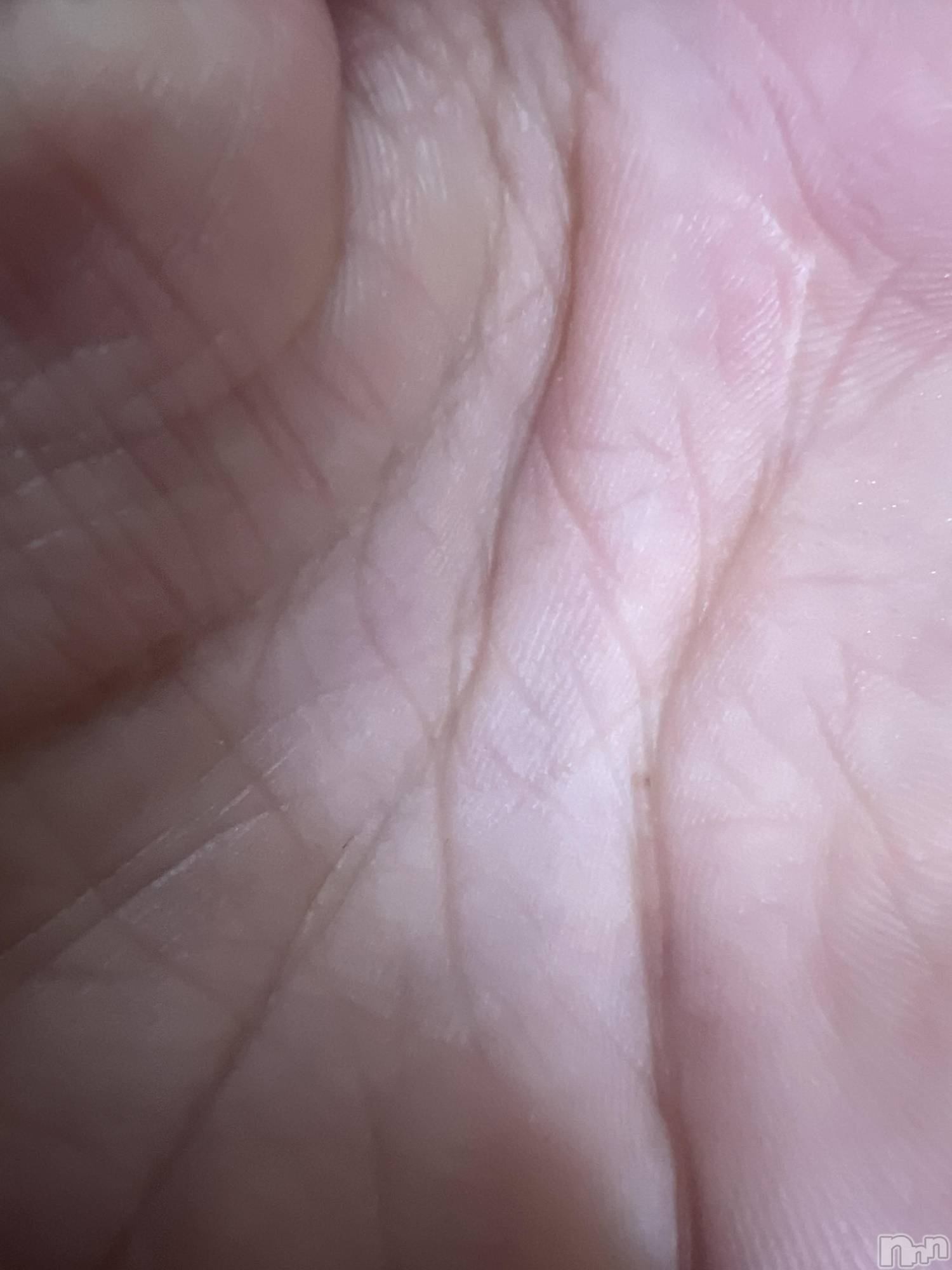 ��Į�ۥ��ȡ��ܡ������С�A151(�����������ݥ���) ��2024ǯ12��18���̥�֥����ֽжм���жС�