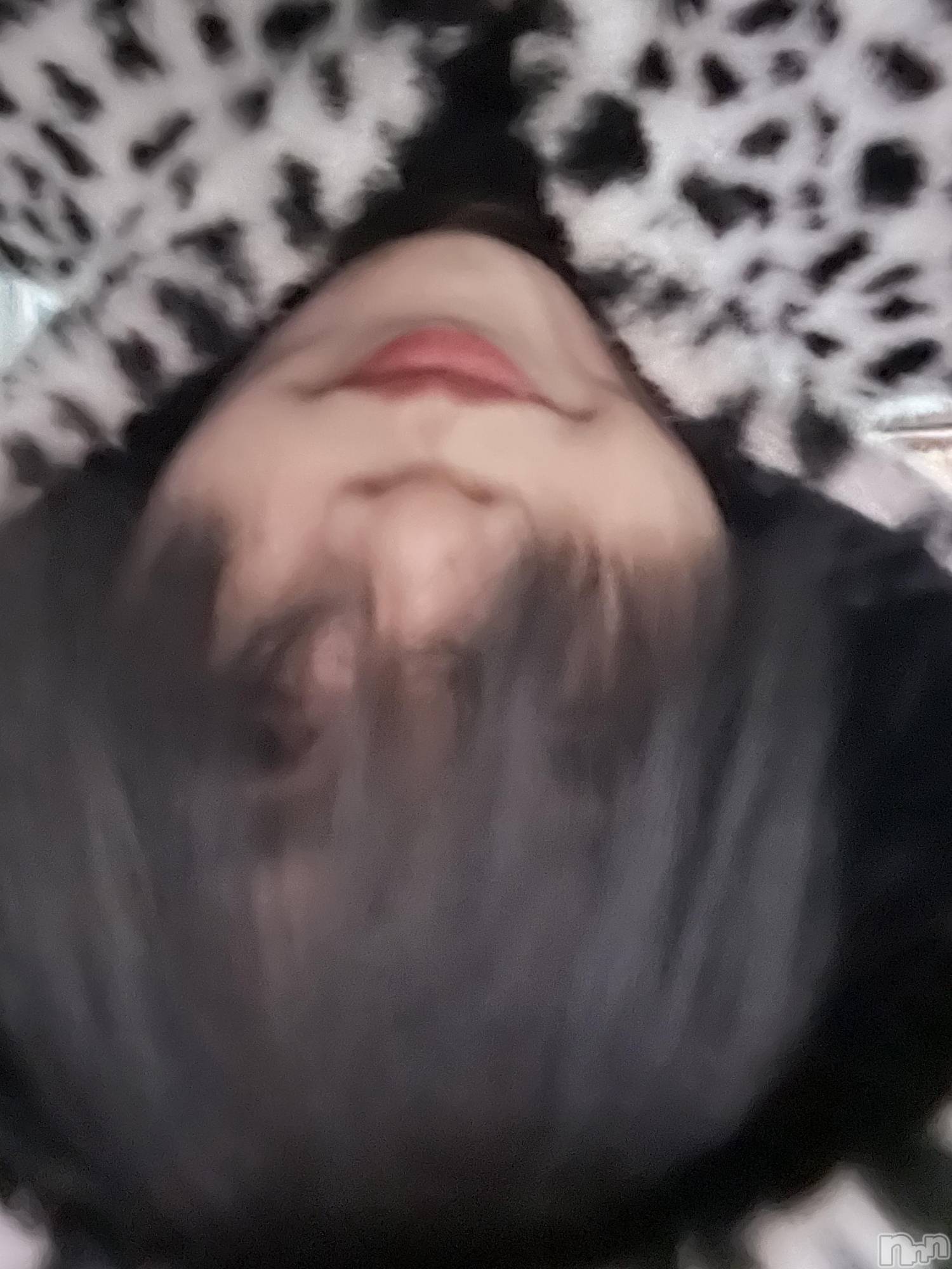 ��Į�ۥ��ȡ��ܡ������С�A151(�����������ݥ���) ��2024ǯ12��19���̥�֥����ֽжнжнжС�