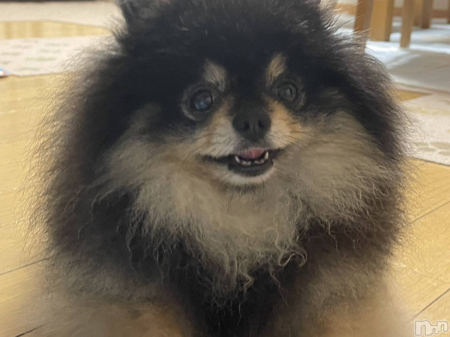 ��Į�ۥ��ȡ��ܡ������С�A151(�����������ݥ���) ��2025ǯ1��30���̥�֥����ֽжнжнжС�