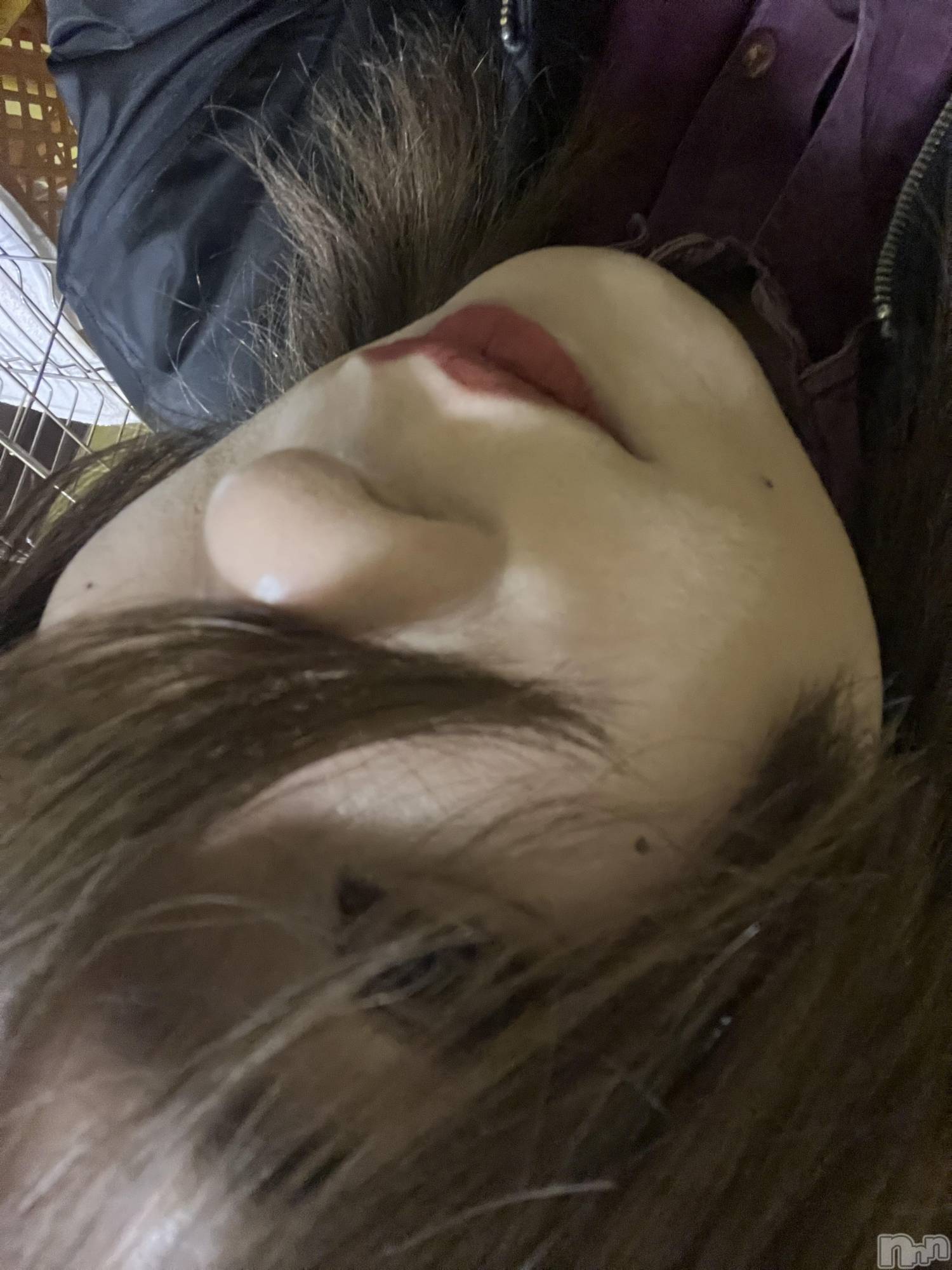 ��Į�ۥ��ȡ��ܡ������С�A151(�����������ݥ���) ��2025ǯ2��8���̥�֥����ֽжС�