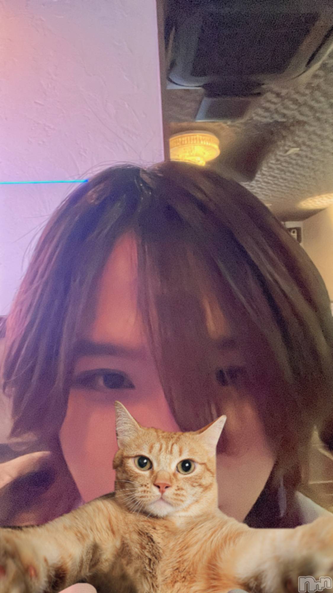 ��Į�ۥ��ȡ��ܡ������С�A151(�����������ݥ���) ��2025ǯ3��17���̥�֥����ֽжС�