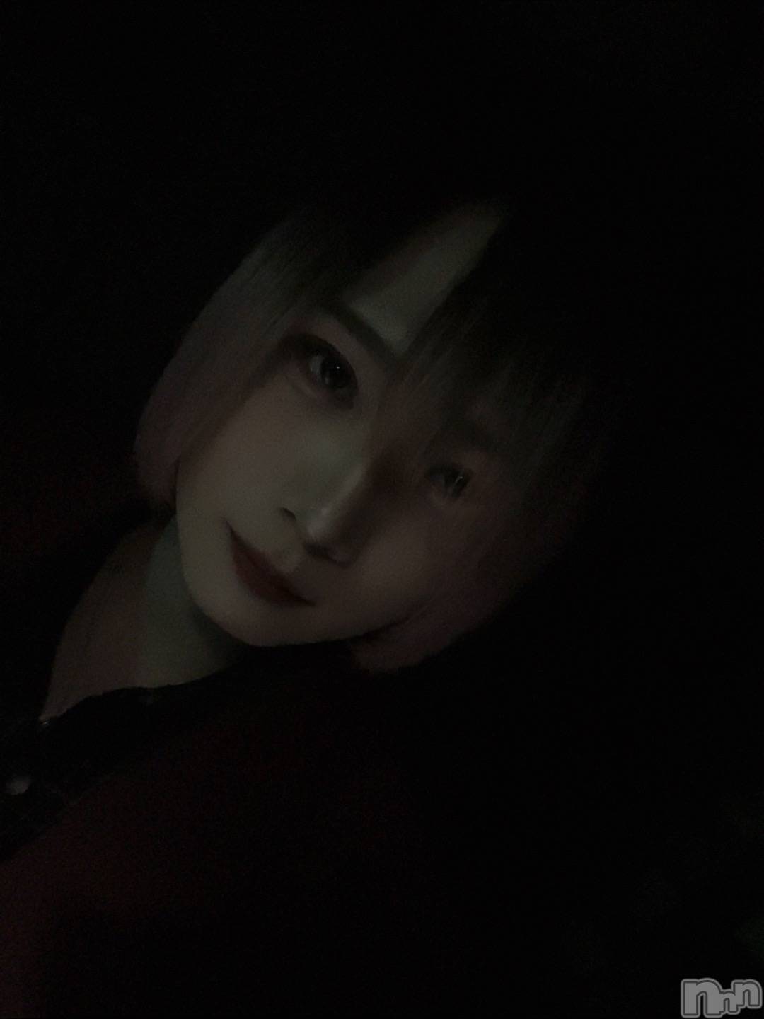 ��Į�ۥ��ȡ��ܡ������С�A151(�����������ݥ���) ��2026ǯ1��26���̥�֥����ֽжС�