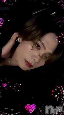 ��Į�ۥ��ȡ��ܡ������С�A151(�����������ݥ���) �֡�ͺ ˱����6��8���̥�֥����֤�����ͤǤ���