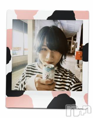 ��Į�ۥ��ȡ��ܡ������С�A151(�����������ݥ���) �֡�ͺ ˱����6��19���̥�֥����ֽжС�