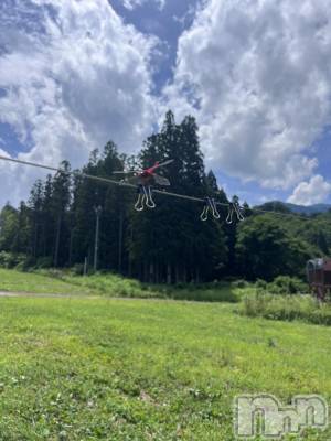 ��Į�ۥ��ȡ��ܡ������С�A151(�����������ݥ���) �֡�ͺ ˱����7��21���̥�֥�����⚠︎︎�뤤��