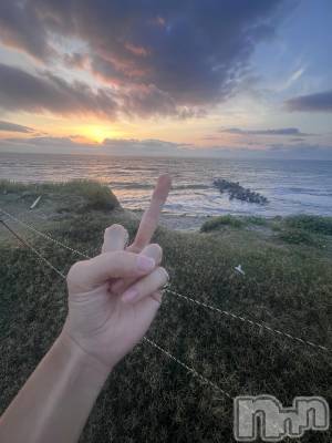 ��Į�ۥ��ȡ��ܡ������С�A151(�����������ݥ���) �֡�ͺ ˱����8��7���̥�֥����ֽжнжнжнжнжнжнжнжС�