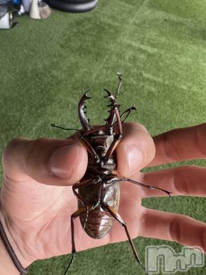 ��Į�ۥ��ȡ��ܡ������С�A151(�����������ݥ���) �֡�ͺ ˱����9��5���̥�֥����֥��塞�����Ĥ������