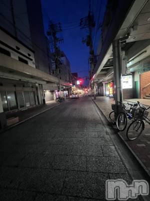 ��Į�ۥ��ȡ��ܡ������С�A151(�����������ݥ���) �֡�ͺ ˱����9��6���̥�֥�����ī���θ�Į�Τ��δ�����������