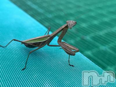 ��Į�ۥ��ȡ��ܡ������С�A151(�����������ݥ���) �֡�ͺ ˱����10��21���̥�֥����֥��ޥ��긫�Ĥ������