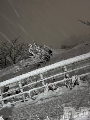 ��Į�ۥ��ȡ��ܡ������С�A151(�����������ݥ���) �֡�ͺ ˱����12��9���̥�֥����ֽжнжнжС�