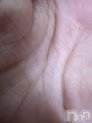 ��Į�ۥ��ȡ��ܡ������С�A151(�����������ݥ���) �֡�ͺ ˱����12��18���̥�֥����ֽжм���жС�