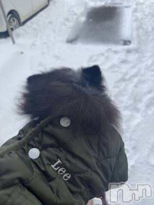 ��Į�ۥ��ȡ��ܡ������С�A151(�����������ݥ���) �֡�ͺ ˱����1��27���̥�֥����ֽжнжнжнжнжС�