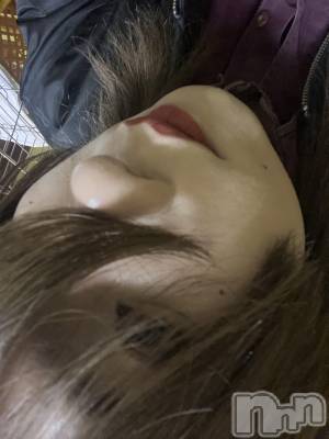 ��Į�ۥ��ȡ��ܡ������С�A151(�����������ݥ���) �֡�ͺ ˱����1��30���̥�֥����ֽжФǤ���