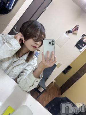 ��Į�ۥ��ȡ��ܡ������С�A151(�����������ݥ���) �֡�ͺ ˱����2��14���̥�֥����ֽжС�