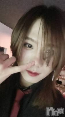 ��Į�ۥ��ȡ��ܡ������С�A151(�����������ݥ���) �֡�ͺ ˱����3��3���̥�֥����ֽжФǤ���