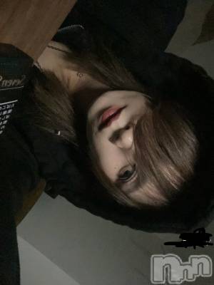 ��Į�ۥ��ȡ��ܡ������С�A151(�����������ݥ���) �֡�ͺ ˱����3��7���̥�֥����ֽжФǤ���