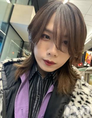 ��Į�ۥ��ȡ��ܡ������С�A151(�����������ݥ���) �֡�ͺ ˱����3��31���̥�֥����ֽжС�