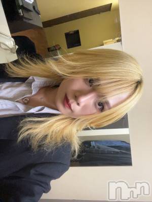 ��Į�ۥ��ȡ��ܡ������С�A151(�����������ݥ���) �֡�ͺ ˱����6��15���̥�֥����ֽжС�