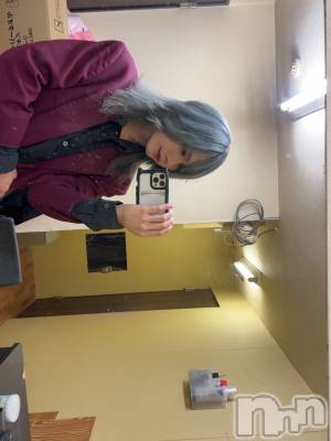 ��Į�ۥ��ȡ��ܡ������С�A151(�����������ݥ���) �֡�ͺ ˱����7��13���̥�֥����ֽжС�