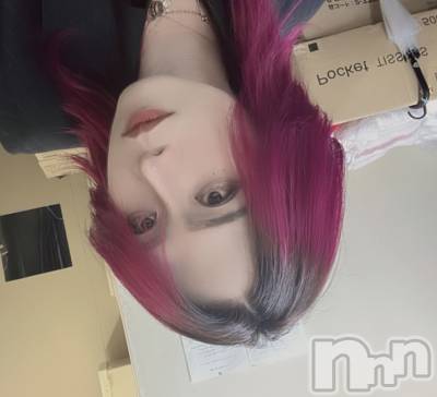 ��Į�ۥ��ȡ��ܡ������С�A151(�����������ݥ���) �֡�ͺ ˱����12��3���̥�֥����ֽнꤷ�ޤ���