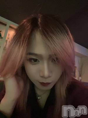 ��Į�ۥ��ȡ��ܡ������С�A151(�����������ݥ���) �֡�ͺ ˱����12��17���̥�֥�����19�������ץ��