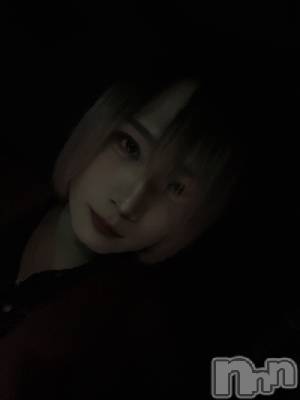 ��Į�ۥ��ȡ��ܡ������С�A151(�����������ݥ���) �֡�ͺ ˱����1��26���̥�֥����ֽжС�