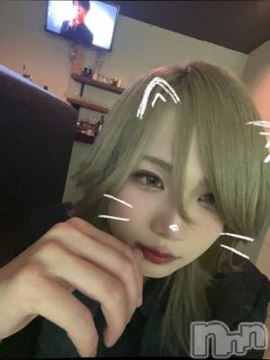 ��Į�ۥ��ȡ��ܡ������С�A151(�����������ݥ���) �֡�ͺ ˱����8��3���̥�֥����ֽжС�