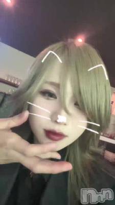 ����Ǥ�