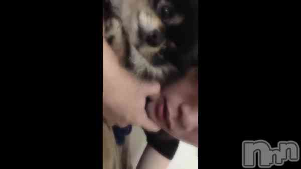 �֤Ҥ����֤��