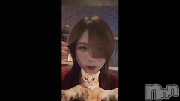 �ֽжС�����