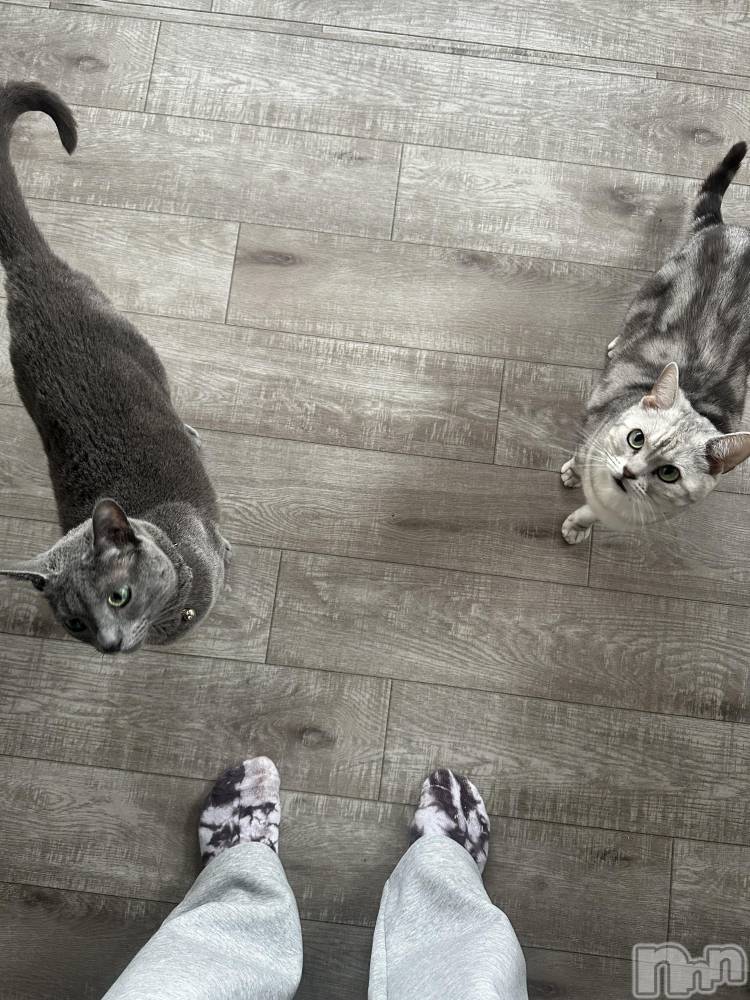 �����������������åȥС�Cafe&Bar Roots �롼��(���ե�����ɥС� �롼��) �ˤ������5��6���̥�֥����֤ˤ��🐈��